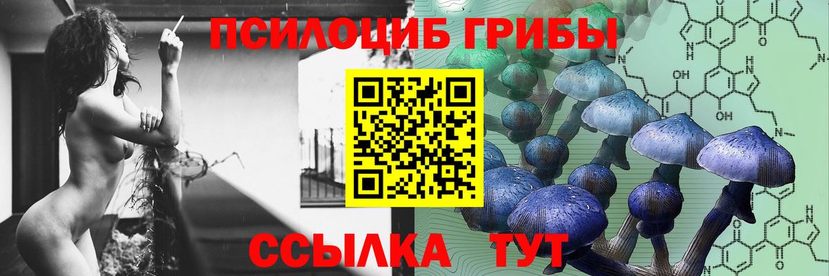 Галлюциногенные грибы Cubensis Бахчисарай